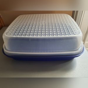 Tupperware Container